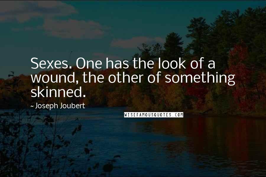 Joseph Joubert Quotes: Sexes. One has the look of a wound, the other of something skinned.