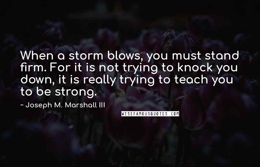 Joseph M. Marshall III Quotes: When a storm blows, you must stand firm. For it is not trying to knock you down, it is really trying to teach you to be strong.