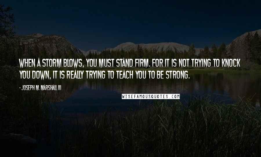 Joseph M. Marshall III Quotes: When a storm blows, you must stand firm. For it is not trying to knock you down, it is really trying to teach you to be strong.