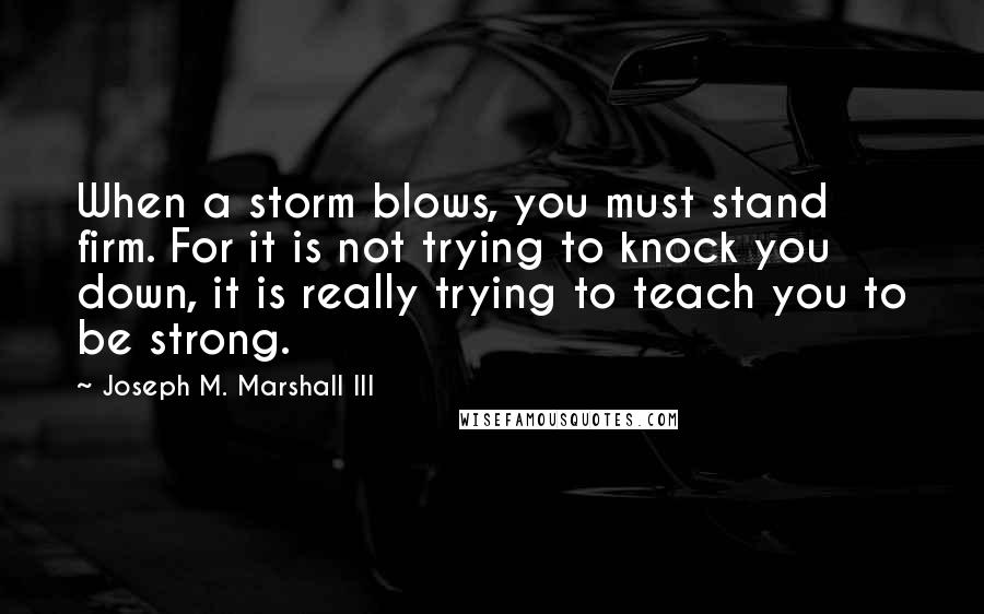 Joseph M. Marshall III Quotes: When a storm blows, you must stand firm. For it is not trying to knock you down, it is really trying to teach you to be strong.