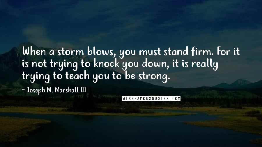 Joseph M. Marshall III Quotes: When a storm blows, you must stand firm. For it is not trying to knock you down, it is really trying to teach you to be strong.