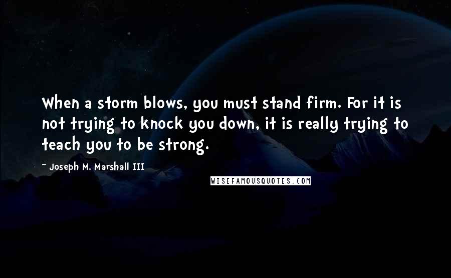Joseph M. Marshall III Quotes: When a storm blows, you must stand firm. For it is not trying to knock you down, it is really trying to teach you to be strong.