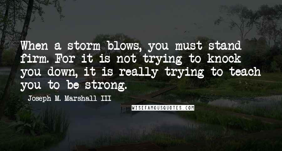 Joseph M. Marshall III Quotes: When a storm blows, you must stand firm. For it is not trying to knock you down, it is really trying to teach you to be strong.