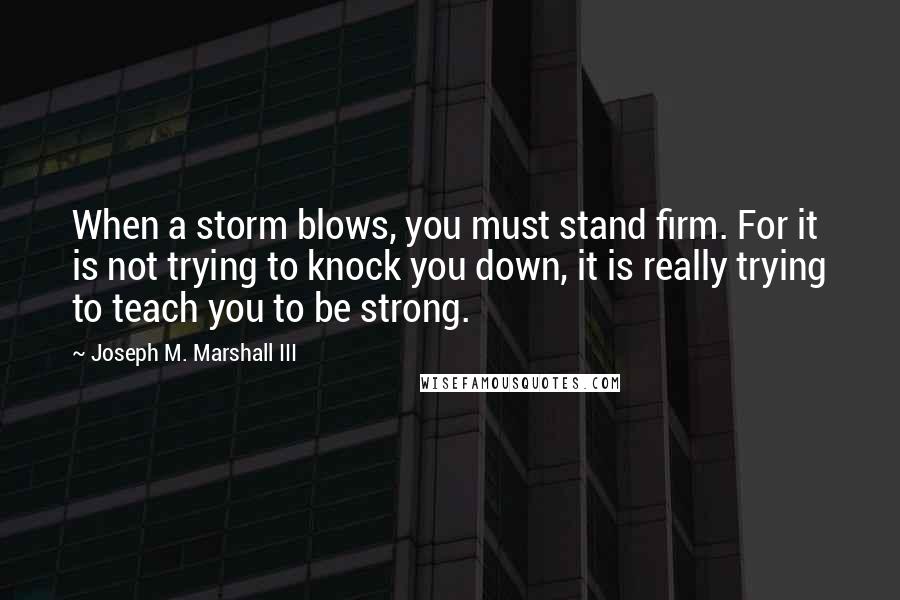 Joseph M. Marshall III Quotes: When a storm blows, you must stand firm. For it is not trying to knock you down, it is really trying to teach you to be strong.