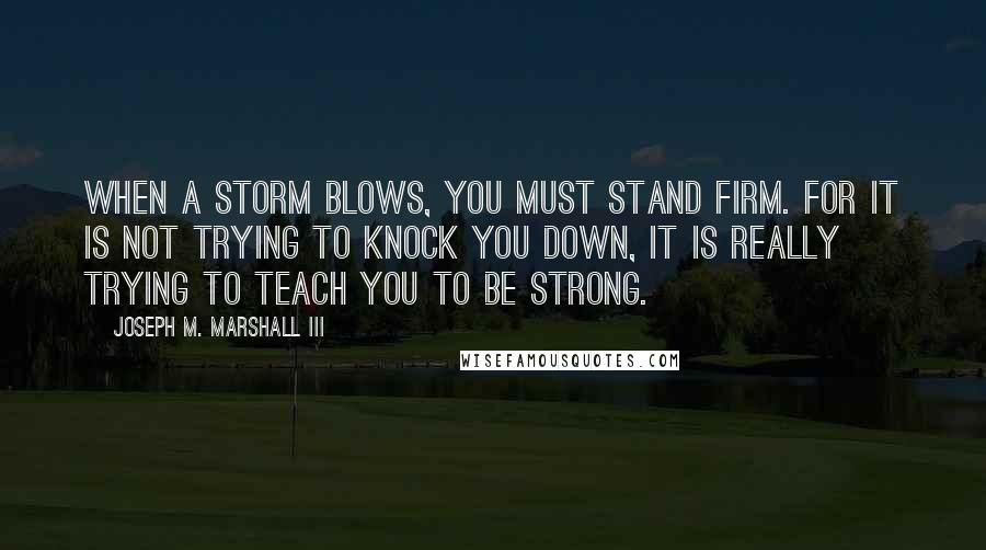 Joseph M. Marshall III Quotes: When a storm blows, you must stand firm. For it is not trying to knock you down, it is really trying to teach you to be strong.