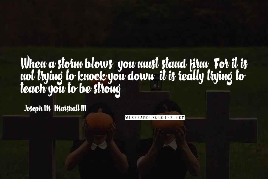 Joseph M. Marshall III Quotes: When a storm blows, you must stand firm. For it is not trying to knock you down, it is really trying to teach you to be strong.