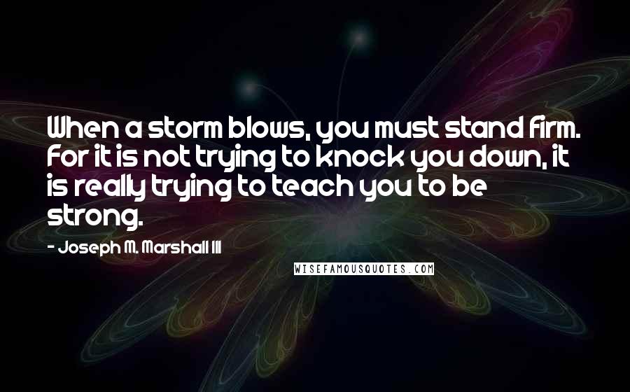 Joseph M. Marshall III Quotes: When a storm blows, you must stand firm. For it is not trying to knock you down, it is really trying to teach you to be strong.