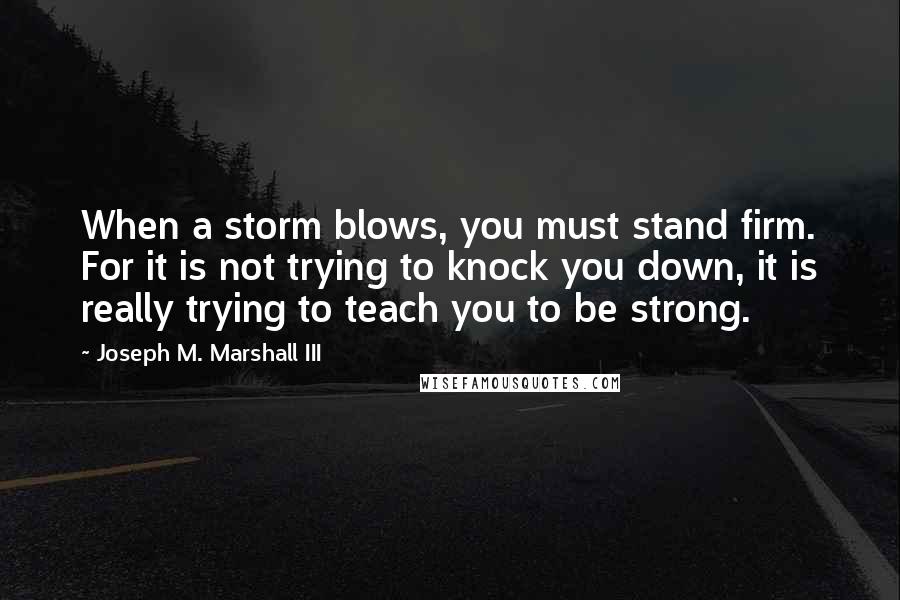 Joseph M. Marshall III Quotes: When a storm blows, you must stand firm. For it is not trying to knock you down, it is really trying to teach you to be strong.