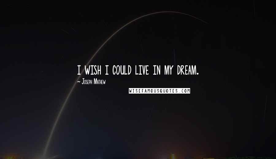 Joseph Mathew Quotes: i wish i could live in my dream.