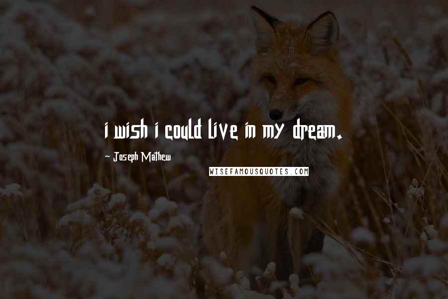 Joseph Mathew Quotes: i wish i could live in my dream.