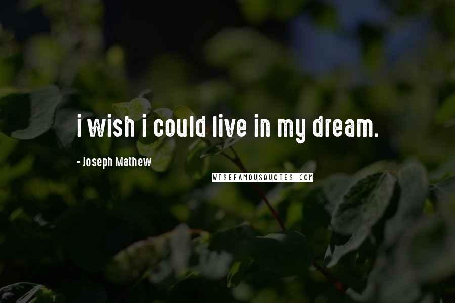 Joseph Mathew Quotes: i wish i could live in my dream.