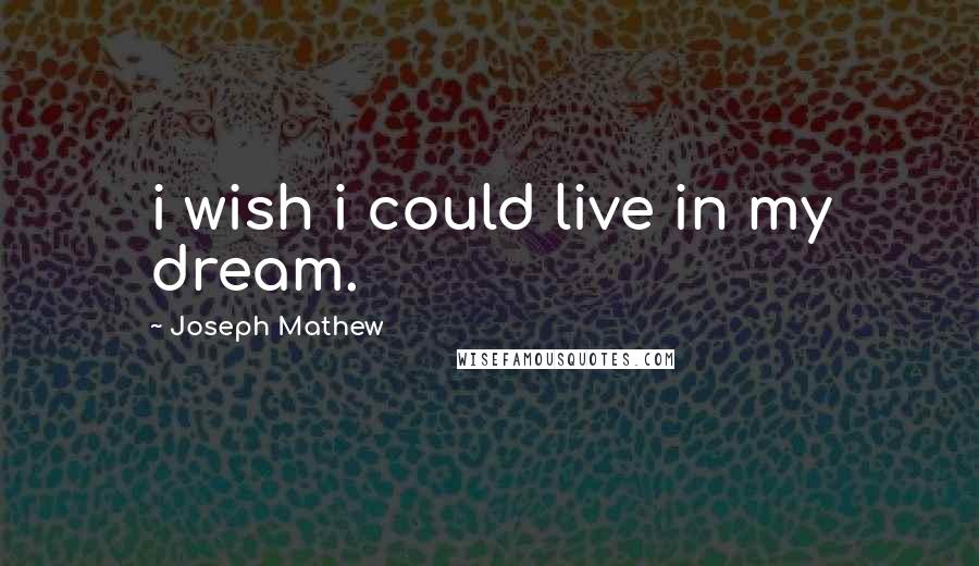 Joseph Mathew Quotes: i wish i could live in my dream.