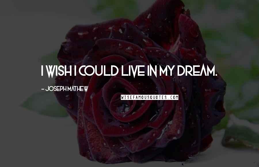 Joseph Mathew Quotes: i wish i could live in my dream.