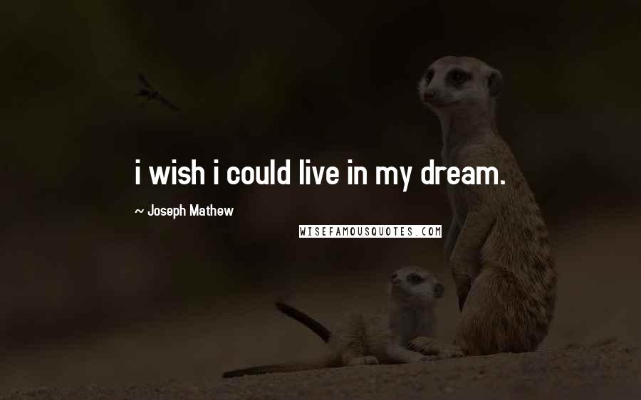 Joseph Mathew Quotes: i wish i could live in my dream.