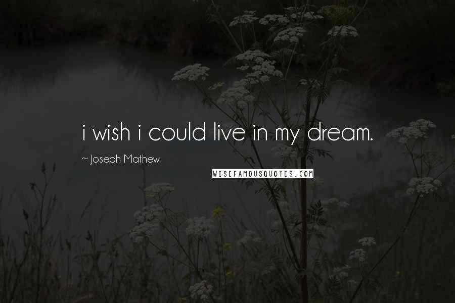 Joseph Mathew Quotes: i wish i could live in my dream.