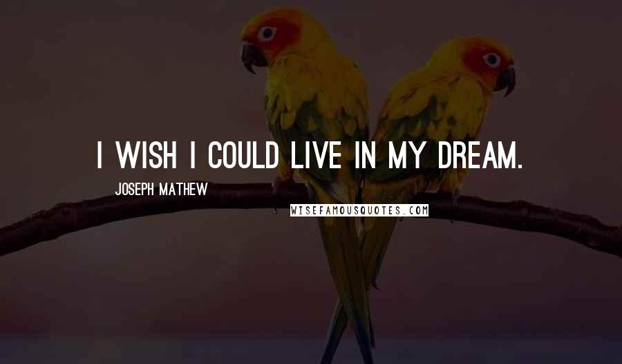 Joseph Mathew Quotes: i wish i could live in my dream.