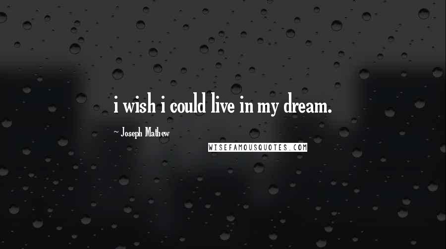 Joseph Mathew Quotes: i wish i could live in my dream.