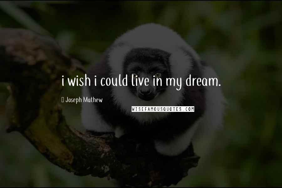 Joseph Mathew Quotes: i wish i could live in my dream.