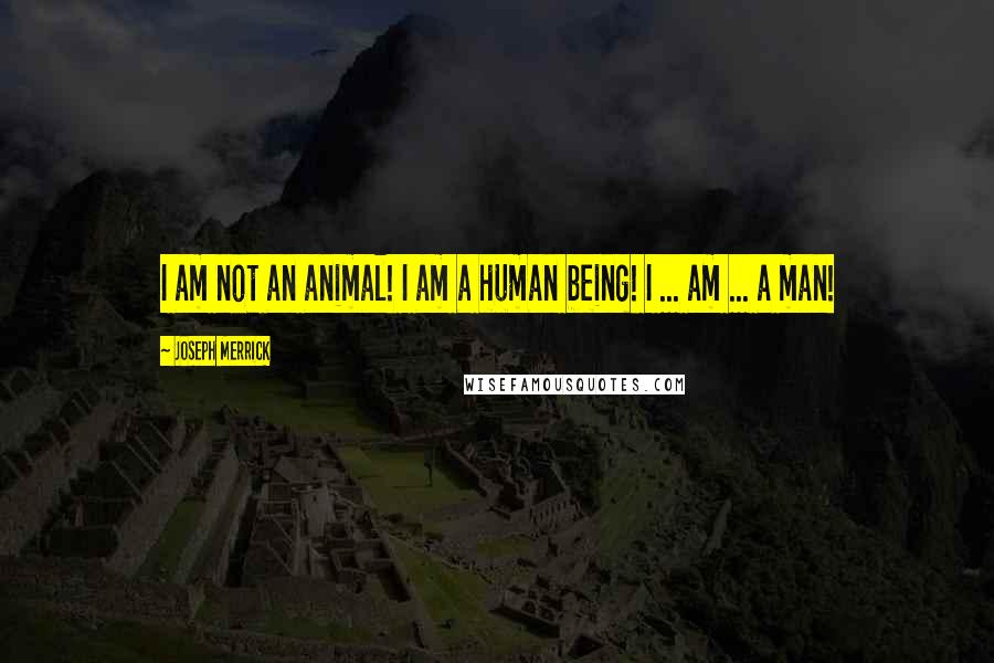 Joseph Merrick Quotes: I am not an animal! I am a human being! I ... am ... a man!