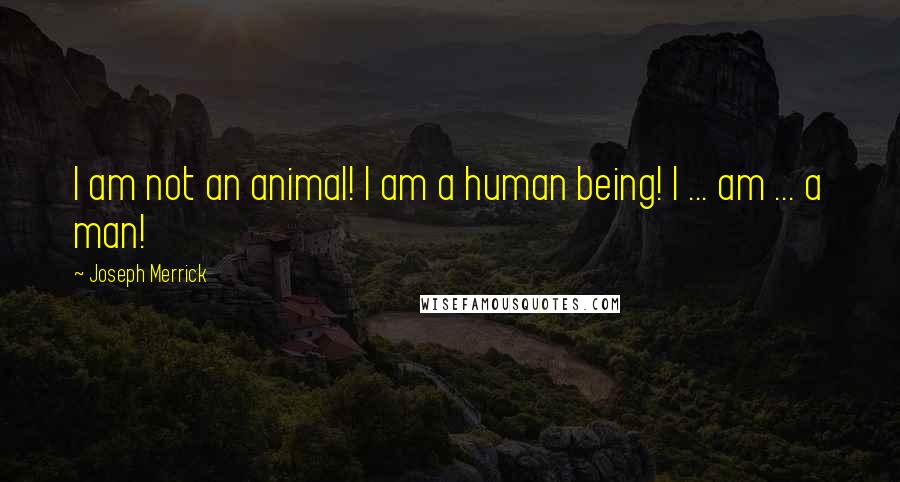 Joseph Merrick Quotes: I am not an animal! I am a human being! I ... am ... a man!