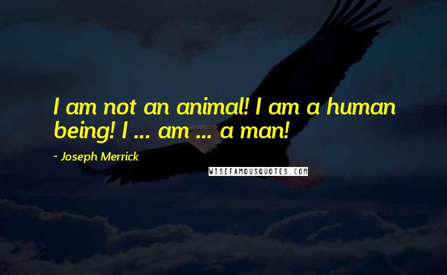 Joseph Merrick Quotes: I am not an animal! I am a human being! I ... am ... a man!