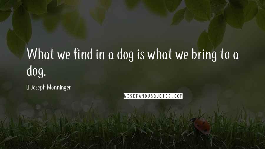 Joseph Monninger Quotes: What we find in a dog is what we bring to a dog.