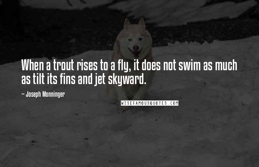 Joseph Monninger Quotes: When a trout rises to a fly, it does not swim as much as tilt its fins and jet skyward.