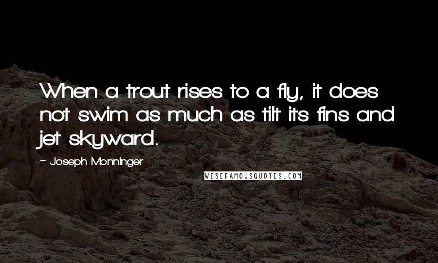 Joseph Monninger Quotes: When a trout rises to a fly, it does not swim as much as tilt its fins and jet skyward.