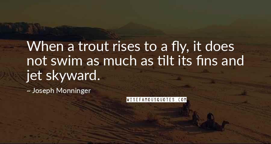 Joseph Monninger Quotes: When a trout rises to a fly, it does not swim as much as tilt its fins and jet skyward.