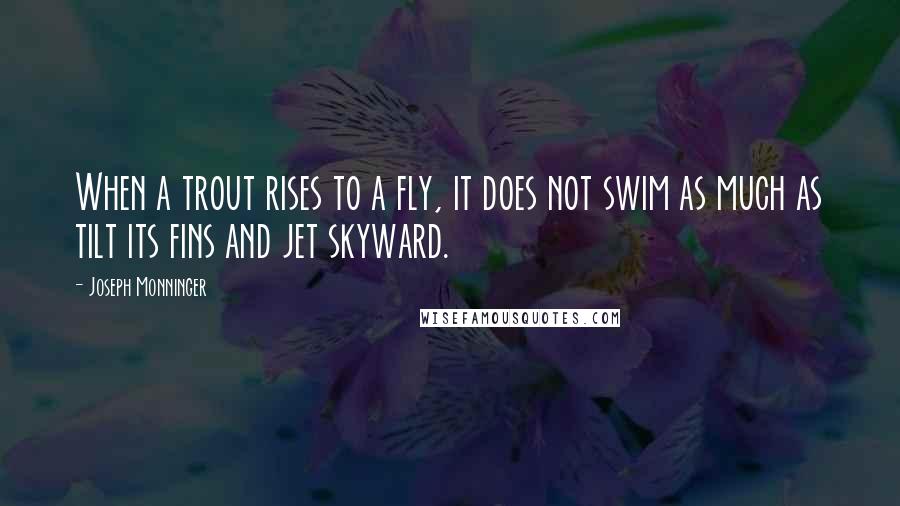 Joseph Monninger Quotes: When a trout rises to a fly, it does not swim as much as tilt its fins and jet skyward.