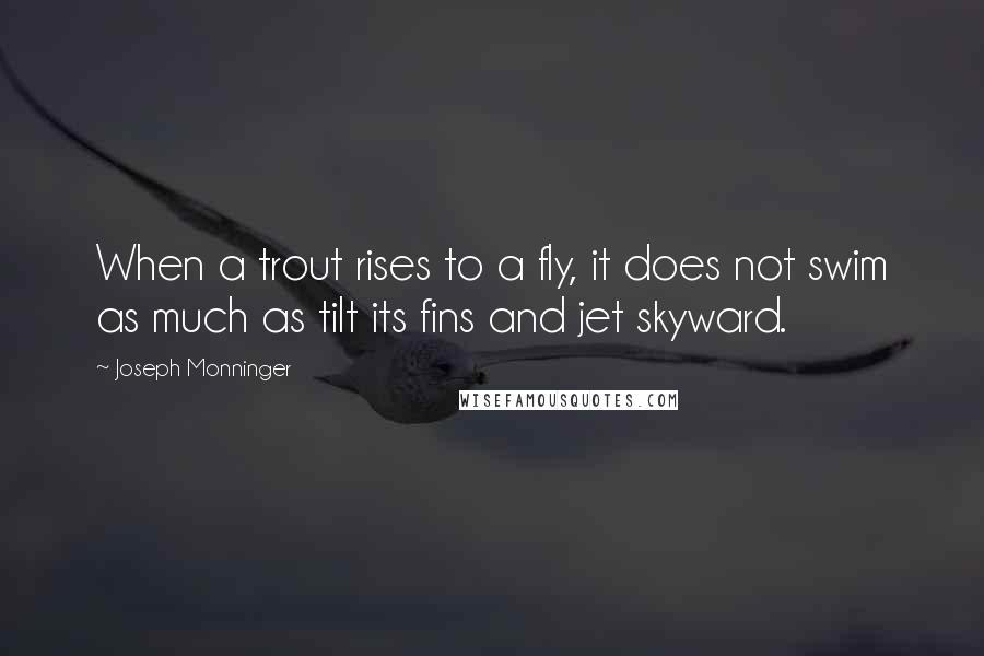 Joseph Monninger Quotes: When a trout rises to a fly, it does not swim as much as tilt its fins and jet skyward.