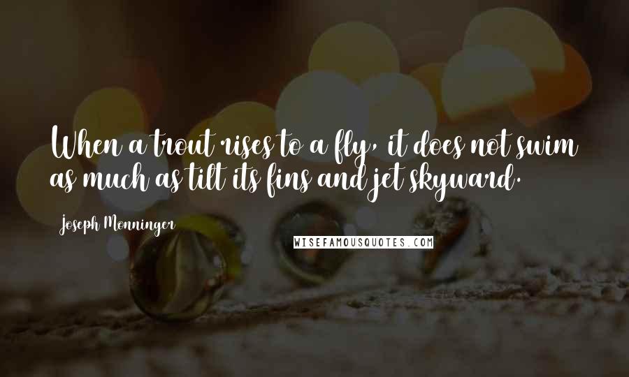 Joseph Monninger Quotes: When a trout rises to a fly, it does not swim as much as tilt its fins and jet skyward.