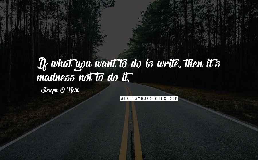 Joseph O'Neill Quotes: If what you want to do is write, then it's madness not to do it.