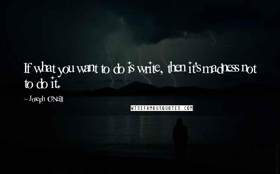 Joseph O'Neill Quotes: If what you want to do is write, then it's madness not to do it.