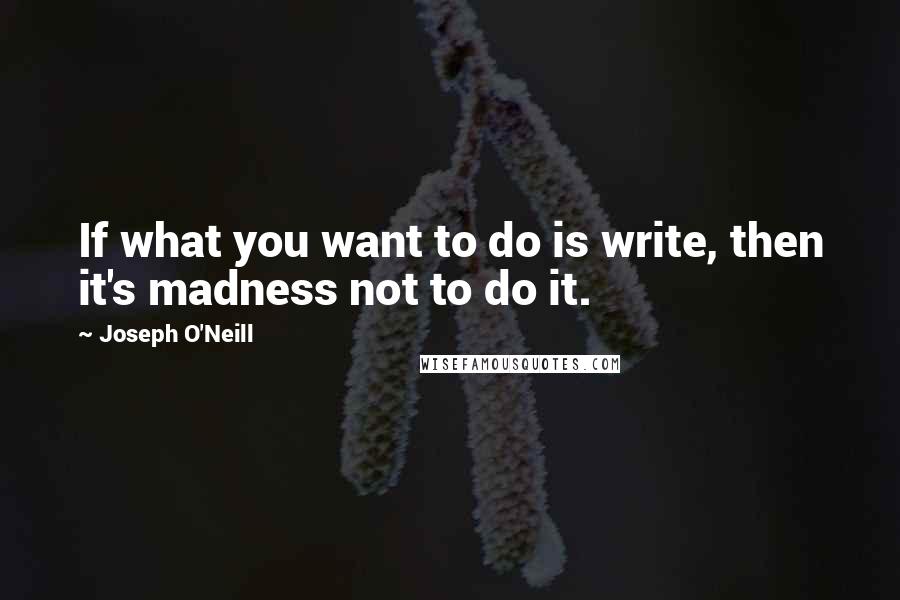 Joseph O'Neill Quotes: If what you want to do is write, then it's madness not to do it.