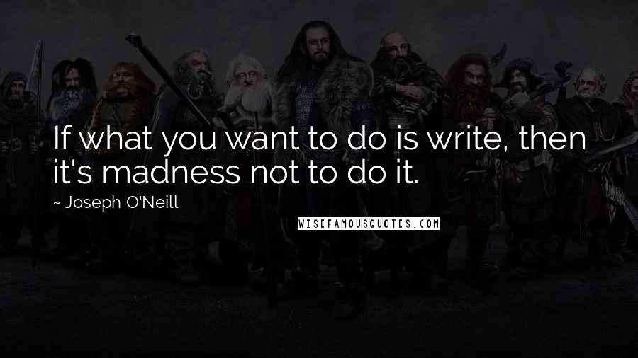 Joseph O'Neill Quotes: If what you want to do is write, then it's madness not to do it.