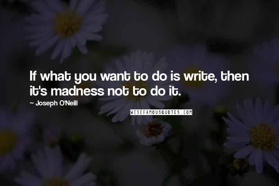 Joseph O'Neill Quotes: If what you want to do is write, then it's madness not to do it.