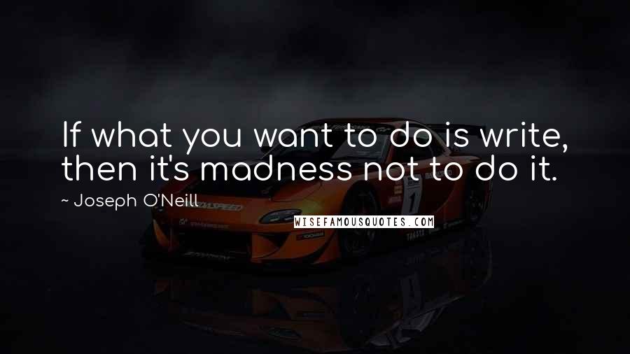 Joseph O'Neill Quotes: If what you want to do is write, then it's madness not to do it.