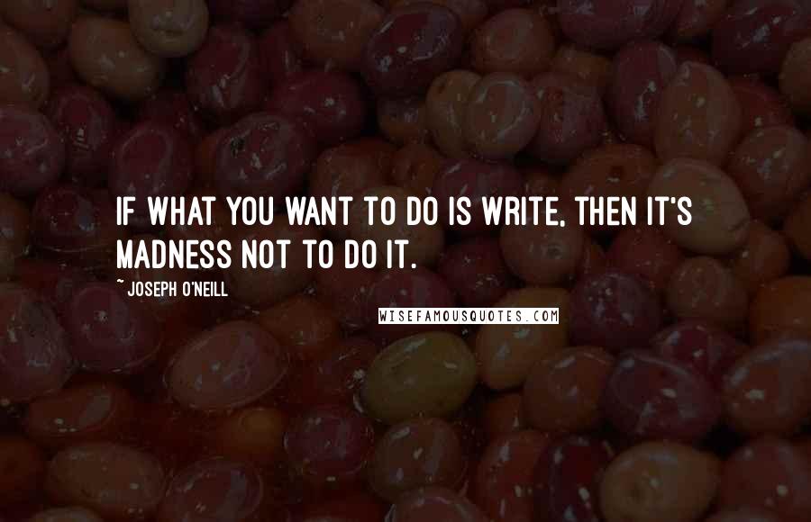 Joseph O'Neill Quotes: If what you want to do is write, then it's madness not to do it.