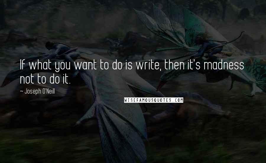 Joseph O'Neill Quotes: If what you want to do is write, then it's madness not to do it.