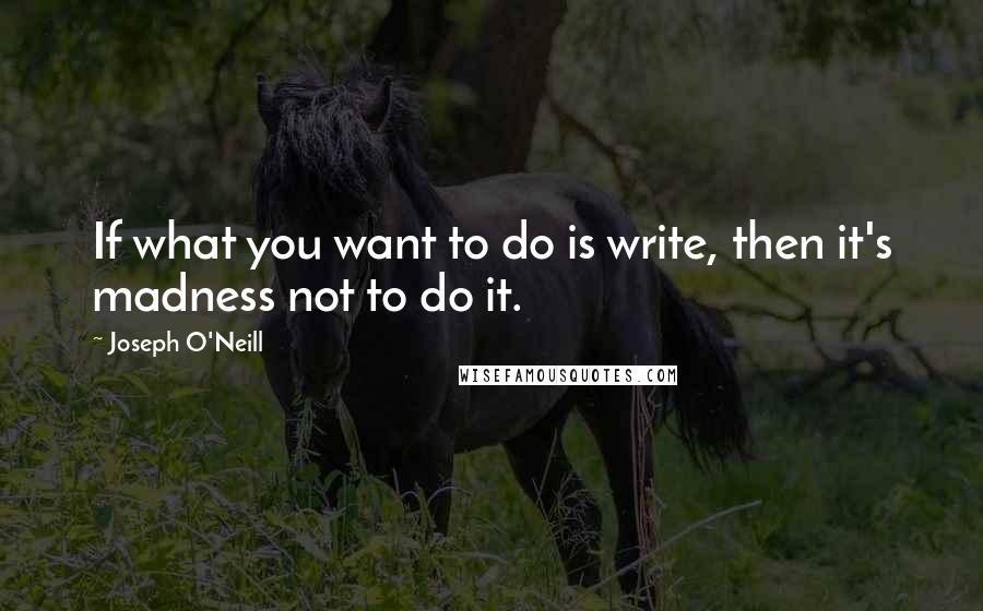 Joseph O'Neill Quotes: If what you want to do is write, then it's madness not to do it.