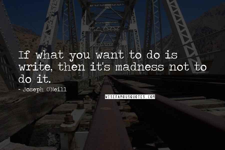 Joseph O'Neill Quotes: If what you want to do is write, then it's madness not to do it.