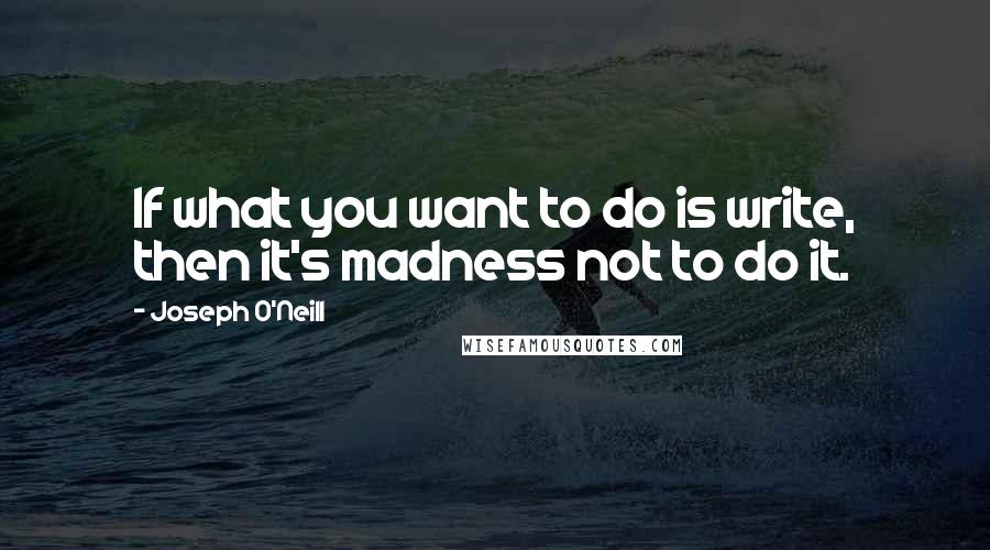 Joseph O'Neill Quotes: If what you want to do is write, then it's madness not to do it.