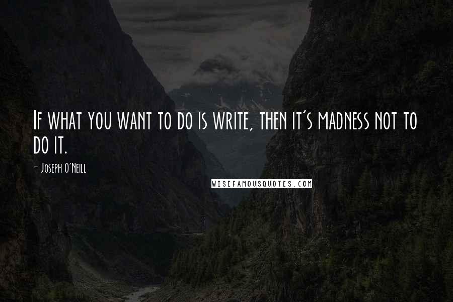 Joseph O'Neill Quotes: If what you want to do is write, then it's madness not to do it.