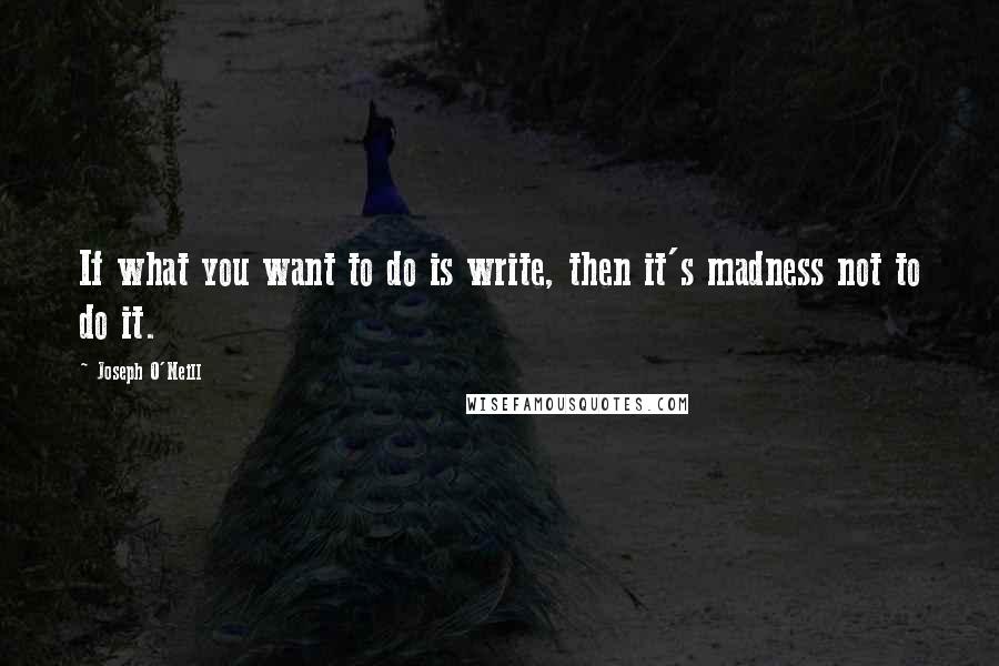 Joseph O'Neill Quotes: If what you want to do is write, then it's madness not to do it.