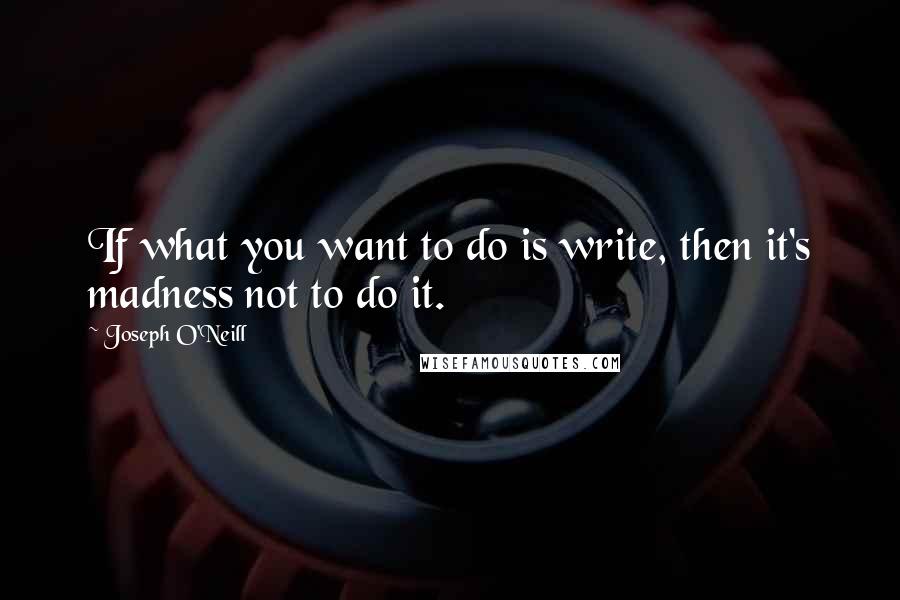 Joseph O'Neill Quotes: If what you want to do is write, then it's madness not to do it.