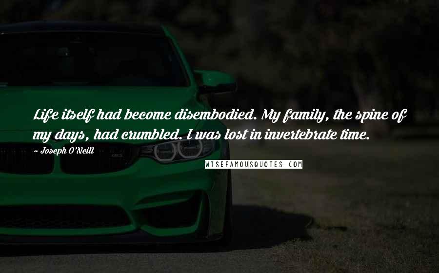 Joseph O'Neill Quotes: Life itself had become disembodied. My family, the spine of my days, had crumbled. I was lost in invertebrate time.