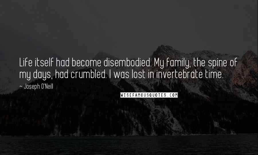 Joseph O'Neill Quotes: Life itself had become disembodied. My family, the spine of my days, had crumbled. I was lost in invertebrate time.