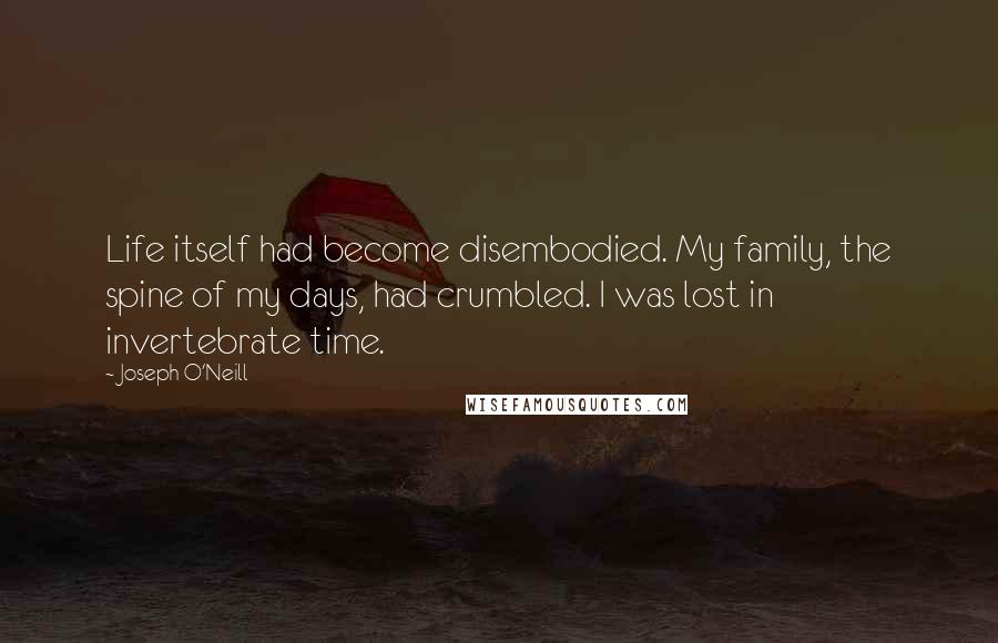 Joseph O'Neill Quotes: Life itself had become disembodied. My family, the spine of my days, had crumbled. I was lost in invertebrate time.