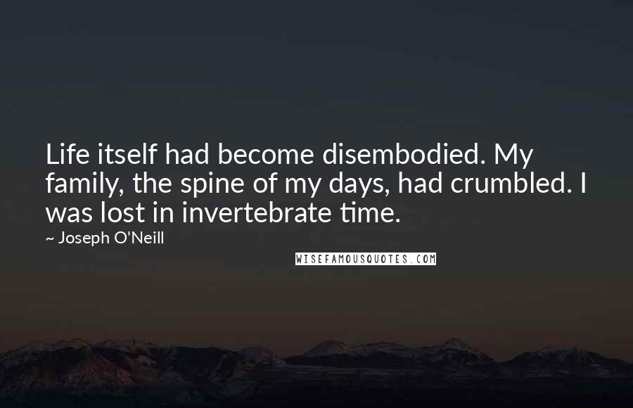 Joseph O'Neill Quotes: Life itself had become disembodied. My family, the spine of my days, had crumbled. I was lost in invertebrate time.